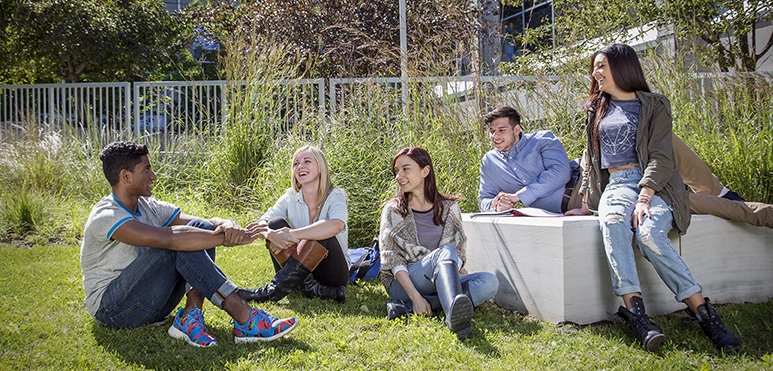 group of students sitting in the grass of the Life Sciences Courtyard at York University